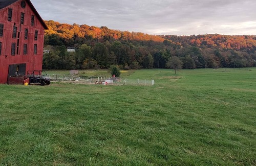 Taylorstown RV Rental | Tentrr Signature Site - Regenerative Farm near Pittsburgh