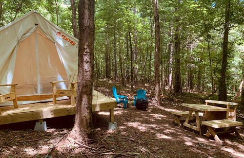 Tennga Other | Tentrr Signature Site - Crestview Campsite Three