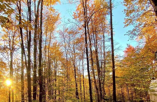 Rochester RV Rental | Tentrr Signature Site - Sugar Shack