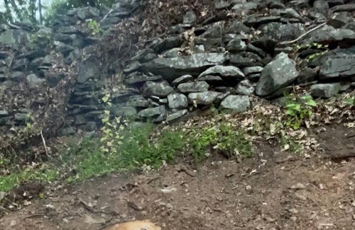 Woodstock RV Rental | Tentrr Signature Site - Peaceful Paradise