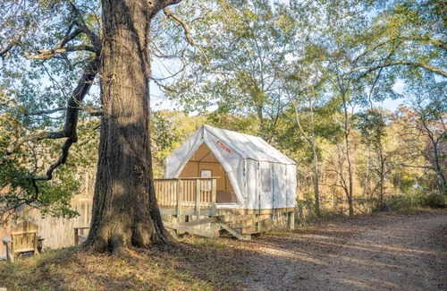 Jackson RV Rental | Tentrr State Park Site - Mississippi LeFleur's Bluff State Park - Mayes Lake C