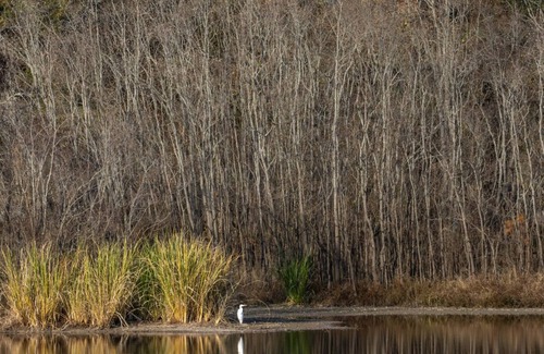 Jackson RV Rental | Tentrr State Park Site - Mississippi LeFleur's Bluff State Park - Mayes Lake C