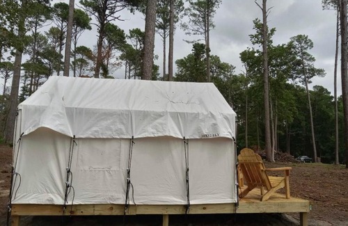 Zwolle Other | Tentrr State Park Site - Louisiana North Toledo Bend State Park - Lakeview B - Single Camp