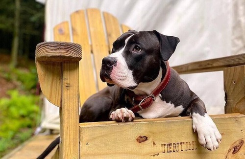 Burbank RV Rental | Tentrr State Park Site - Nebraska Ponca State Park – River Vista F – Single Ca