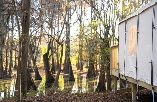 Jackson RV Rental | Tentrr State Park Site - Mississippi LeFleur's Bluff State Park - By the Bayou E