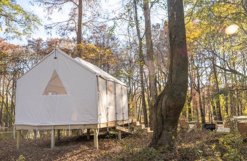 Jackson RV Rental | Tentrr State Park Site - Mississippi LeFleur's Bluff State Park - By the Bayou E