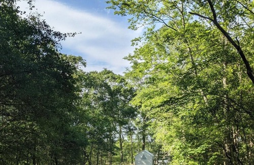 Saint Landry RV Rental | Tentrr State Park Site - Louisiana Chicot State Park - Site G - Single Camp