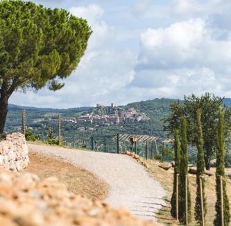 Roccastrada Apartment | Tenuta Poggio Piero