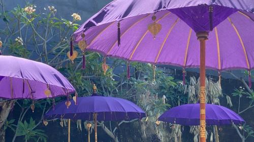 Purwakerti House | Teratai Boutique Resort