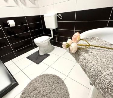 Gunaras Apartment | Termàlkert vendèghàz