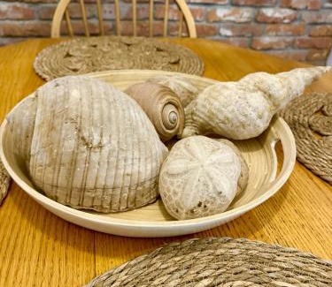 Sinemoretz Apartment | Terra Massa