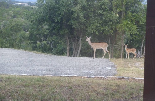 Dripping Springs Villa | Terra Vista at Our Hill Town nRelax, Lounge, Laze, Dally, Rest
