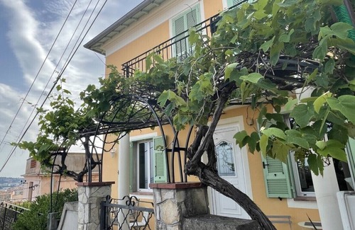 Menton Apartment | Terrace with stunning sea view and pergola with vines