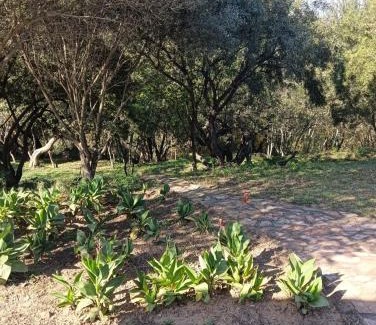 Hartbeespoort House | Tersus Riverbend Lodge