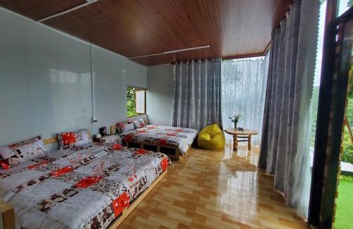 Lam Ha Other | Thông Reo Farm & Homestay