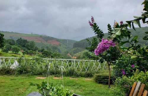 Lam Ha Other | Thông Reo Farm & Homestay