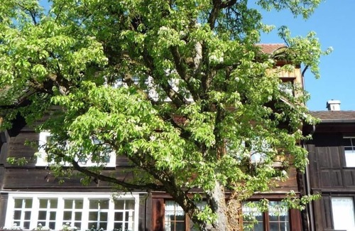 Wienacht-Tobel House | Thal Sankt Gallen Lake Constance Appenzell Ausserrhoden