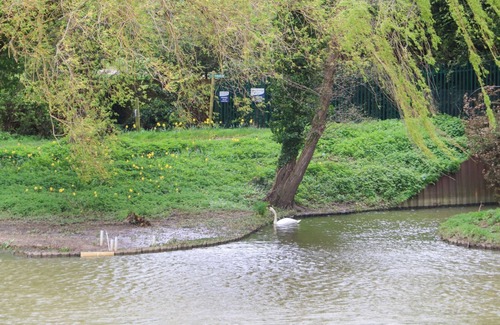 Wraysbury Cottage | Thames Retreat