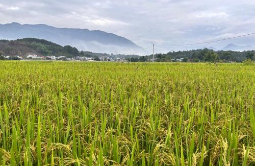 Than Uyen Hotel | Than Uyên hotel