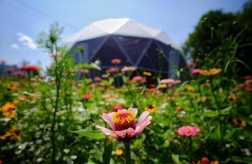 Cesiomaggiore Other | That's life Glamping - Dolomite Experience