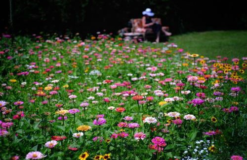 Cesiomaggiore Other | That's life Glamping - Dolomite Experience