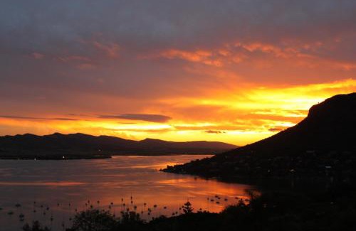 Schoemansville Apartment | Thatch View