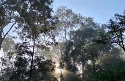 Vythiri House | The Adam Resort by Lexstays