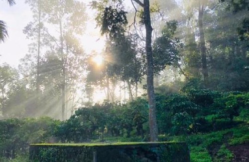 Vythiri House | The Adam Resort by Lexstays