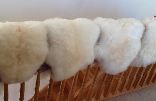 Lybster Bed & Breakfast | The Antlers