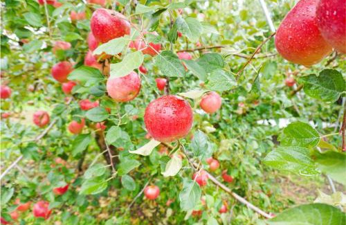 Obuse House | The Bath & Bed Obuse - Vacation STAY 15924