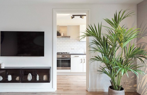 Zandvoort Apartment | The Beach & Town Suite