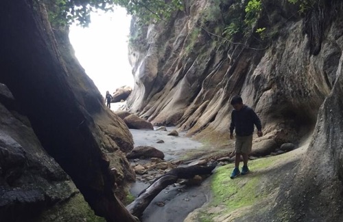 Kaiteriteri House | The Beachfront Playground @ Kaiteriteri