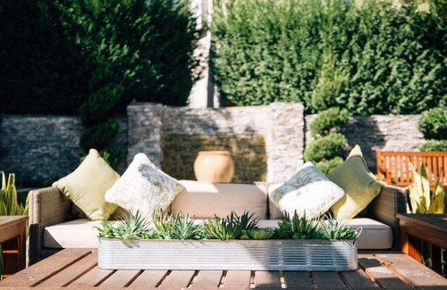 Tree Section Hotel | The Belamar Hotel Manhattan Beach, Tapestry by Hilton