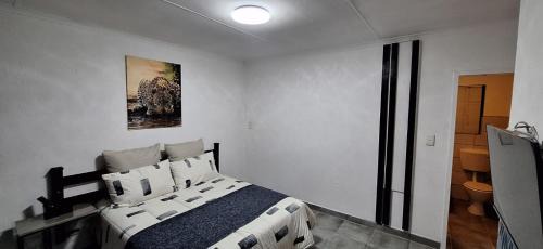 Greater Johannesburg Metropolitan Area Hotel | The Big 5 - Leopard