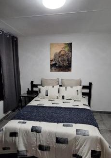Greater Johannesburg Metropolitan Area Hotel | The Big 5 - Leopard