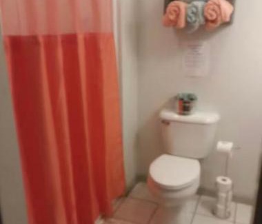 Dunlap Apartment | The Bird House near Fall Creek Falls State Park