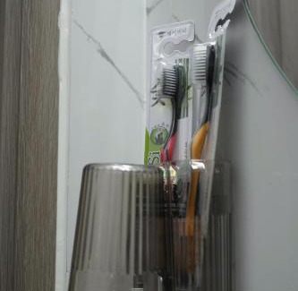 Phuong 8 Bed & Breakfast | The Bird's Nest