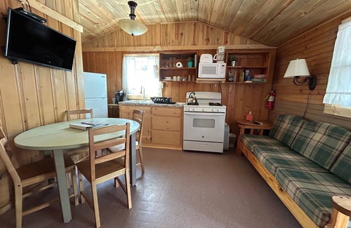 Lake City Cabin | The Bluebonnet Cabin with Mountain Views