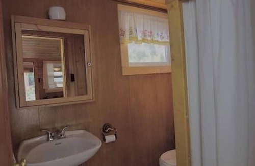 Lake City Cabin | The Bluebonnet Cabin with Mountain Views