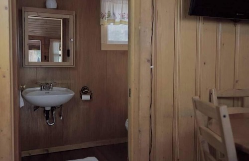 Lake City Cabin | The Bluebonnet Cabin with Mountain Views