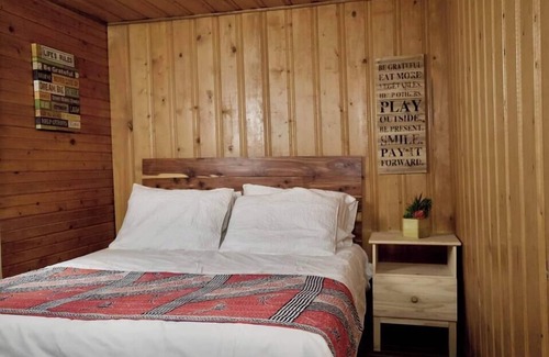 Lake City Cabin | The Bluebonnet Cabin with Mountain Views