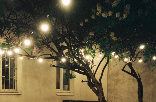 Westside Santa Cruz Bed & Breakfast | The Boardwalk Beach House Bed & Breakfast