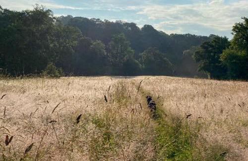 Rock Other | the cabin@ abberley glamping
