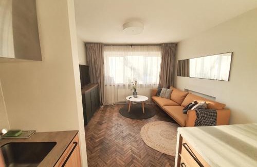 Siauliai City Center Apartment | The Central Spot