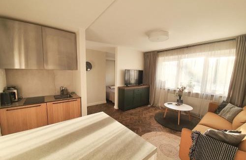 Siauliai City Center Apartment | The Central Spot