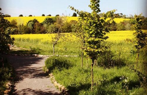 Wallingford Cabin | The Chilterns View