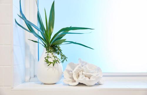 Clovelly Hotel | The Clovelly Hotel