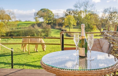 Malmesbury Cabin | The Cosy Goose - Shepherds Hut