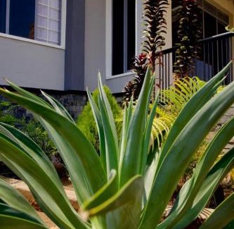 Masindi House | The countryside Escape