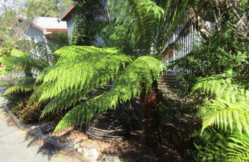 Strahan House | The Crays Accommodation